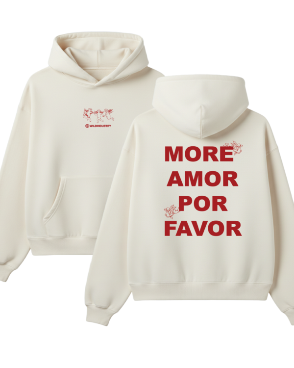 BEGGING FOR LOVE HOOD