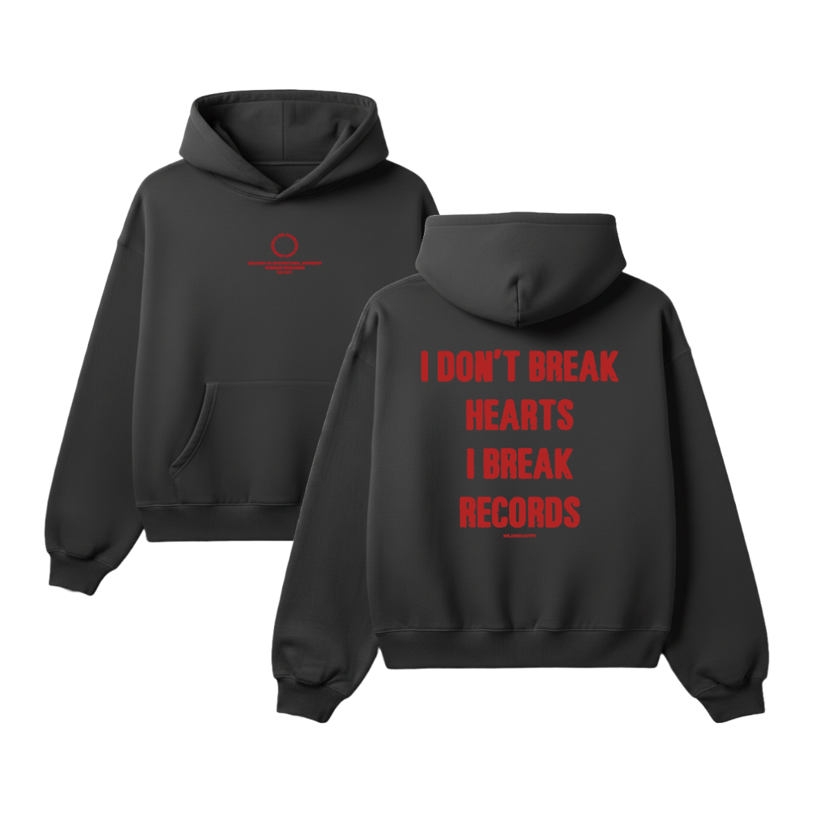 RECORDS BREAKER HOOD